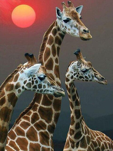 Broderie Diamant Girafes et Soleil Couchant 