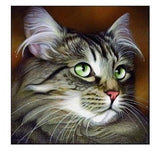 broderie diamant chat maine coon