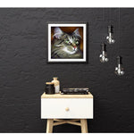 broderie diamant chat maine coon decor
