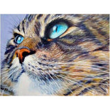 Broderie Diamant Chat Yeux Bleus Percants