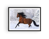 Broderie Diamant Cheval Photographie Cadre