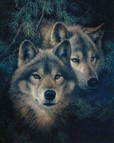 Broderie Diamant Couple de Loups Alpha 