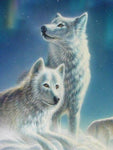 Broderie Diamant Couple de Loups Blancs 