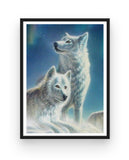 Broderie Diamant Couple de Loups Blancs Cadre