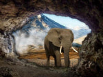 Broderie Diamant elephant dans la Grotte