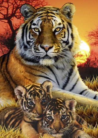 Broderie Diamant Famille de Tigres 