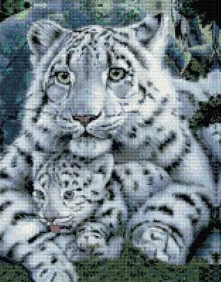 Broderie Diamant Famille de Tigres Blancs 
