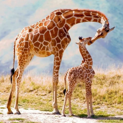 Broderie Diamant Girafe et son Petit 