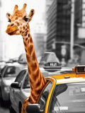 Broderie Diamant Girafe Taxi 