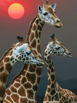 Broderie Diamant Girafes et Soleil Couchant 