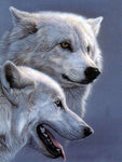 Broderie Diamant Loups Blancs Alpha 