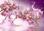 Broderie Diamant Orchidées Rafraichissantes 