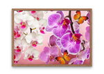 Broderie Diamant Orchidées Roses et Rayées cadre