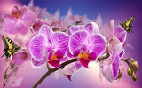 Broderie Diamant Orchidées Roses 