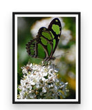 Broderie Diamant Papillon Vert et Fleur Blanche cadre