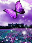 Broderie Diamant Papillon Violet dans la Nature