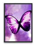 Broderie Diamant Petit Papillon Violet cadre