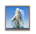 Broderie Diamant Requin Blanc qui Saute cadre