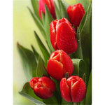 Broderie Diamant Tulipes Rouges