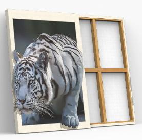 broderie diamant animaux