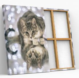 broderie diamant chat