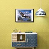 broderie diamant diamond painting aigle royal