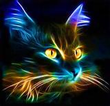 broderie diamant chat fluorescent