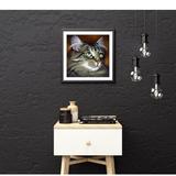 broderie diamant chat maine coon decor