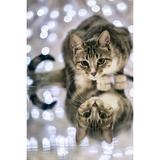 Broderie Diamant Chat Predateur