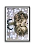 Broderie Diamant Chat Predateur cadre