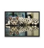 Broderie Diamant Chat Tigre et son Reflet cadre