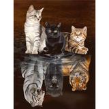 broderie diamant chaton reflet tigre