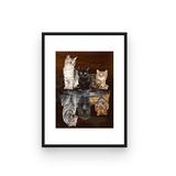 broderie diamant chaton