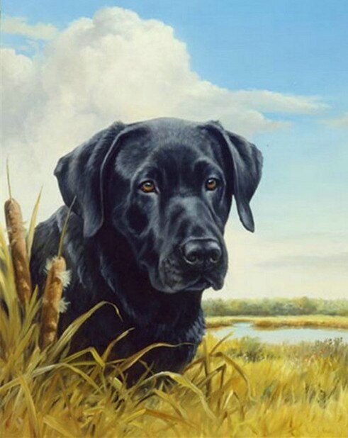 Broderie Diamant Chien A La Campagne