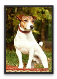 Broderie Diamant Chien Jack Russel Cadre