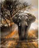 broderie diamant elephant majestueux