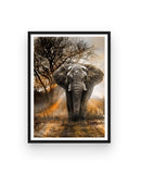 broderie diamant elephant majestueux cadre