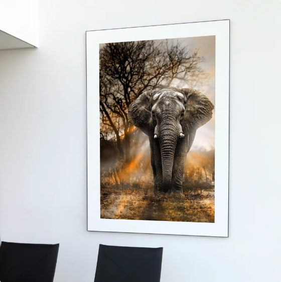 broderie diamant elephant majestueux decor