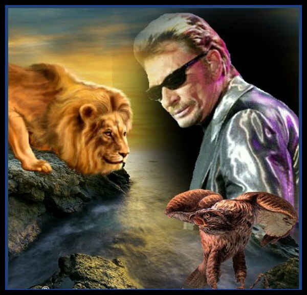 Broderie Diamant Johnny Hallyday & Animaux