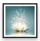 Broderie Diamant Nénuphar Étincelant Cadre