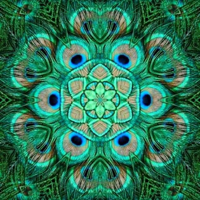 Broderie Diamant Mandala Paon