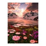 broderie diamant montagnes enneigees et fleurs