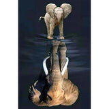 Broderie Diamant Petit elephant et son Reflet