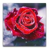 broderie diamant rose rouge